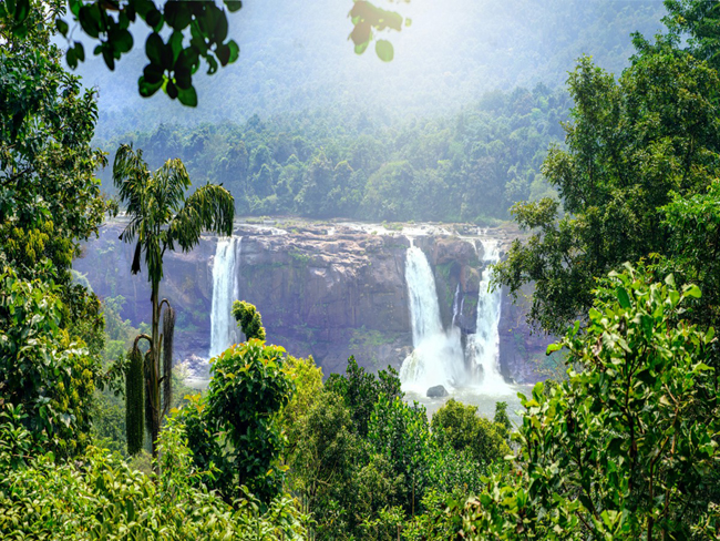 Athirappilly  Kerala’s highest waterfall.